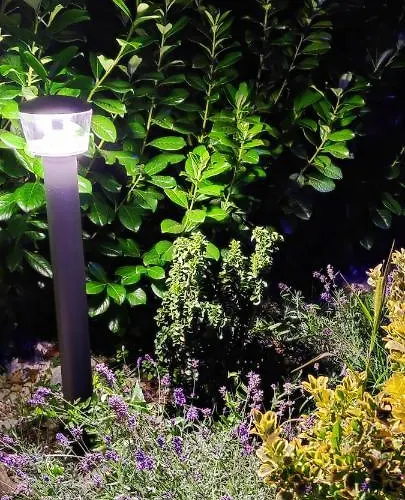 Rigo ケストヘイ