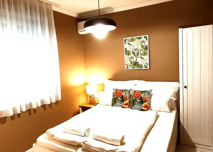 Rigo * ケストヘイ